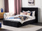 Beliani NOYERS - Waterbed met opbergruimte - Zwart - 140 x 200 cm - Fluweel