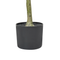 Beliani OLIVE TREE - Kunstplant - Groen - 153 cm - Synthetisch