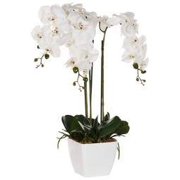 Beliani ONCIDIUM ORCHID - Kunstplant - Wit/Groen - 59 cm - Synthetisch