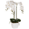 Beliani ONCIDIUM ORCHID - Kunstplant - Wit/Groen - 59 cm - Synthetisch