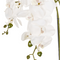 Beliani ONCIDIUM ORCHID - Kunstplant - Wit/Groen - 59 cm - Synthetisch