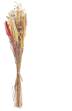 Beliani PAMPELUNA - Droogbloemen boeket - Rood - Droogbloemen