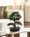 Beliani PINE - Kunstplant - Groen - 44 cm - Synthetisch materiaal