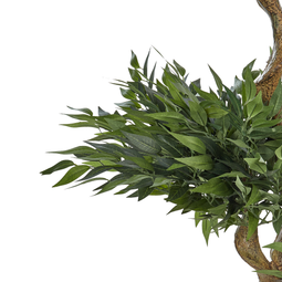 Beliani RUSCUS TREE - Kunstplant - Groen - 166 cm - Synthetisch materiaal