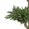 Beliani RUSCUS TREE - Kunstplant - Groen - 166 cm - Synthetisch materiaal