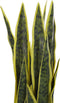 Beliani SNAKE PLANT - Kunstplant - Groen - Kunststof