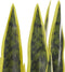 Beliani SNAKE PLANT - Kunstplant - Groen - Kunststof