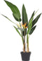 Beliani STRELITZIA TREE - Kunstplant - Groen - Kunststof