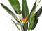 Beliani STRELITZIA TREE - Kunstplant - Groen - Kunststof