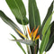 Beliani STRELITZIA TREE - Kunstplant - Groen - Kunststof