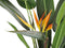 Beliani STRELITZIA TREE - Kunstplant - Groen - Kunststof