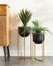 Beliani THUJA - Bloempot set van 2 - Zwart - Metaal