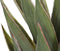 Beliani YUCCA - Kunstplant - Groen - Kunststof