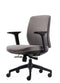 Bens Ergonomische Bureaustoel - Lichtgrijs - 917-Ergo-1