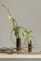 BePureHome Ring Vaas - Metaal - Antique Brass - 25x18x5