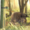 Berger & Schröter Hunting Alarm 31623 Diermelder Draadloos
