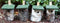 Berkenblok nestkast 32 mm
