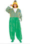 Bert Onesie kostuum Volwassenen - Maat S