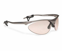 Bertoni F996A Photochromatic Anti-Fog
