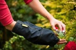 Beschermhoes outcast pols large rechts