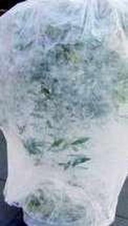 Beschermvlies 2 m breed prijs per strekkende meter