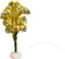 Besneeuwe Boom Met Verlichting