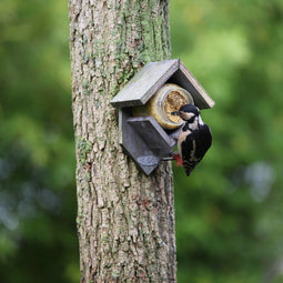 BEST FOR BIRDS | Best For Birds Pindakaas Vogelhuisje Oud Hout