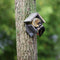 BEST FOR BIRDS | Best For Birds Pindakaas Vogelhuisje Oud Hout