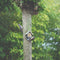 BEST FOR BIRDS | Best For Birds Pindakaas Vogelhuisje Oud Hout