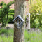 BEST FOR BIRDS | Best For Birds Pindakaas Vogelhuisje Oud Hout