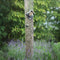 BEST FOR BIRDS | Best For Birds Pindakaas Vogelhuisje Oud Hout