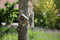 Best for birds- Pindakaas Vogelhuisje 15x13x20 cm