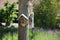 Best for birds- Pindakaas Vogelhuisje 15x13x20 cm