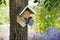 Best for birds- Pindakaas Vogelhuisje 15x13x20 cm