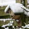 Best for birds- Pindakaas Vogelhuisje 15x13x20 cm