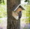 Best for birds- Pindakaas Vogelhuisje 15x13x20 cm