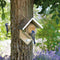 Best for birds- Pindakaas Vogelhuisje 15x13x20 cm