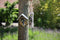 Best for birds- Pindakaas Vogelhuisje 15x13x20 cm