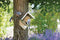 Best for birds- Pindakaas Vogelhuisje 15x13x20 cm