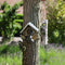 Best for birds- Pindakaas Vogelhuisje 15x13x20 cm