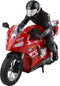 Bestuurbare motor - Stunt motorcycle 1:6 RC - motorfiets voor beginners Motorfiets - Incl. accu en laadkabel - Met lichteffect