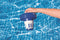 Bestway Chloor Doseerder