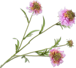 Silk-ka Kunstbloem-Zijden Bloemen Scabiosa Tak Paars-Roze 80 cm