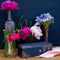 Bewaarblik Hummingbirds - Navy Blue - Rechthoek - Blik - 24,5 x 10,5 x 8 cm - Sara Miller London