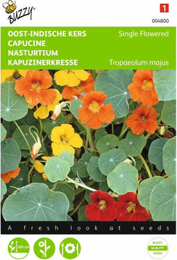 2 stuks - Buzzy - Tropaeolum majus Enkelbloemig Mengsel