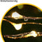 Happy Goods Solar Tuinverlichting - 200 LED Lichtsnoer Buiten - 20 m - Waterbestendig - Automatisch Aan