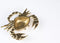 Bold Monkey It's A Crab - Schaaltje - Goudkleurig