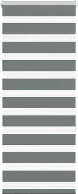 vidaXL - Zebra - rolgordijn - 65x150 - cm - stofbreedte - 60,9 - cm - donkergrijs