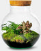 Growing Concepts DIY Duurzaam Ecosysteem Bol - H30xØ18cm