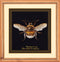 Thea Gouverneur - Borduurpakket met telpatroon - Hommel - 2 - Aida zwart - 14 counts - Voor volwassenen - 3018.07